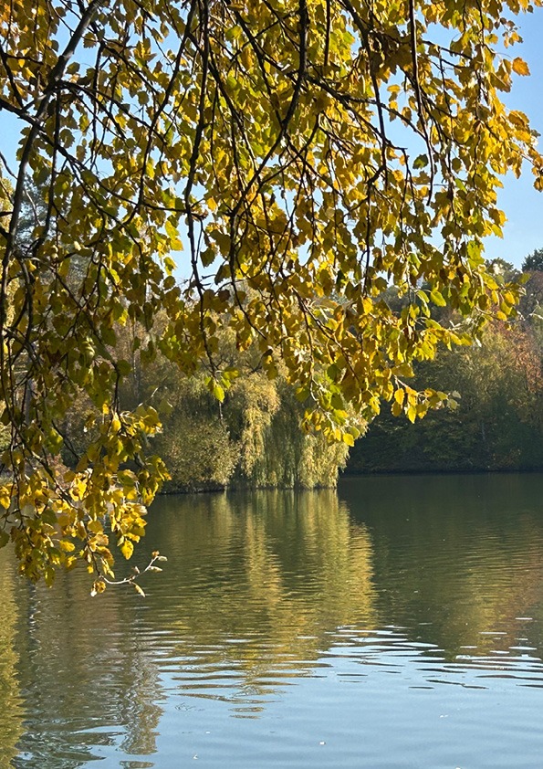 Журнал18